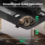 LumiDesk Escritorio Eléctrico Ajustable en Altura Todo en 1 Inteligente, Modular y Ergonómico