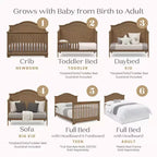 Simmons Kids Daybed y Kit de barandilla para niños pequeños n.º 328725