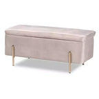 Banco de Almacenamiento Rockwell Velvet Metal - Baxton Studio
